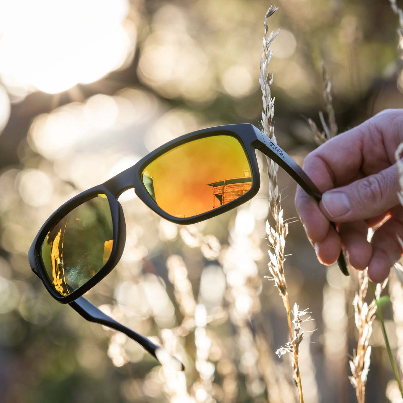 These Sunglasses Are Untangling Marine Life