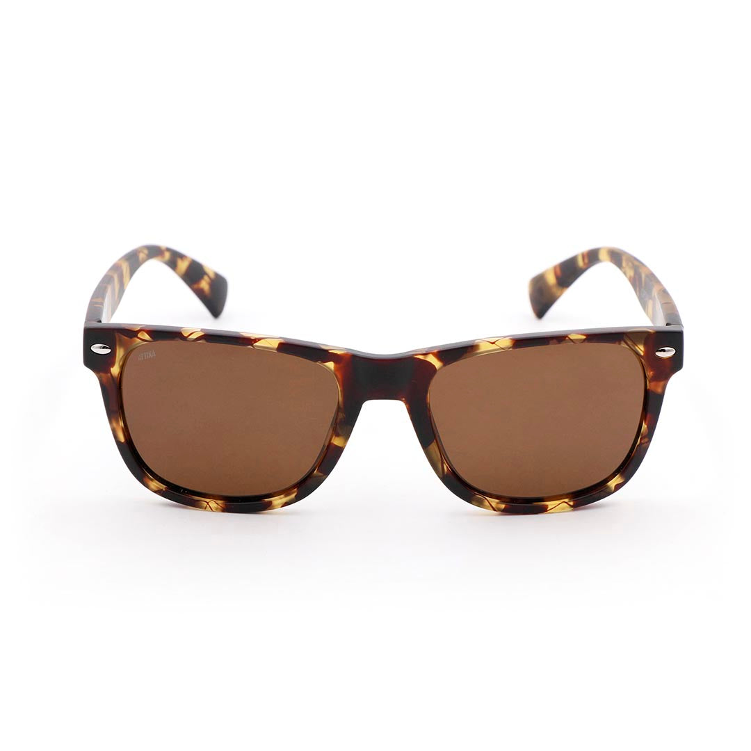 Wayfarer sunglasses 2024 tortoise shell